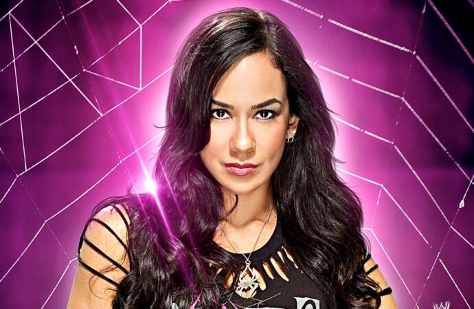 The Remarkable Journey of AJ Lee in Professional Wrestling