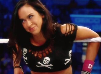 The Legacy of AJ Lee: A WWE Icon
