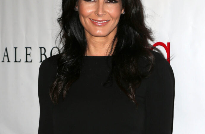 The Journey of Angie Harmon in Hollywood
