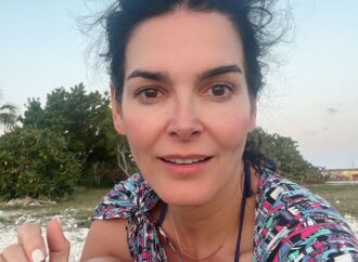 The Journey of Angie Harmon: From Model to Acclaimed Actress
