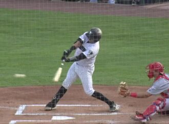 Austin Wells: The Next Big Thing in Major League Baseball