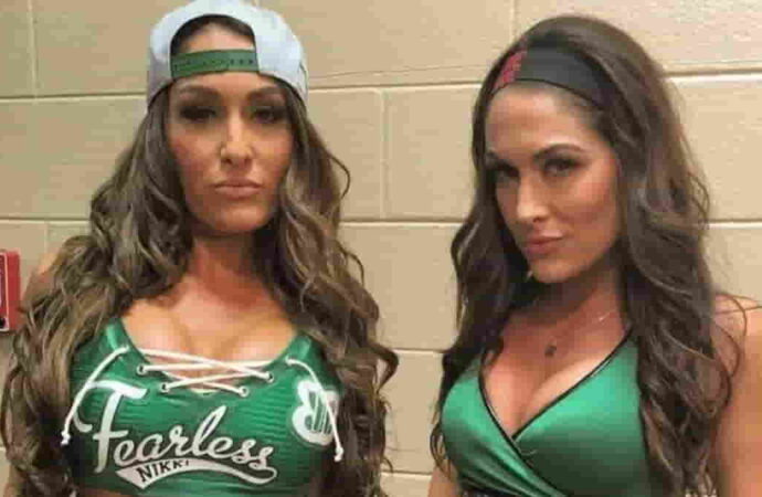 The Bella Twins: From WWE Champions to Business Moguls