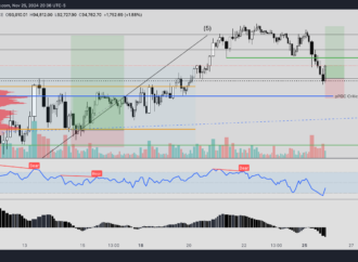 Recent Developments in the Binance Cryptocurrency Exchange