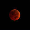 The Science and Significance of the Blood Moon