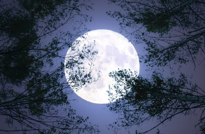 What is a Blue Moon and Why Does it Matter?