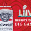 Highlights of the Budweiser Super Bowl Commercial 2024
