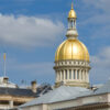 Exploring Clemency: Importance and Recent Developments