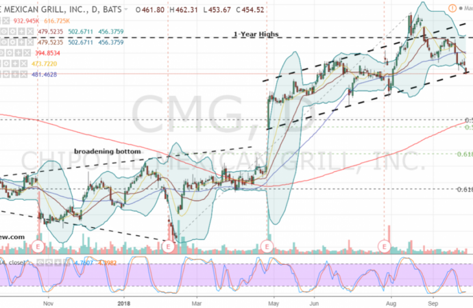 Understanding CMG Stock: Trends and Performance Insights