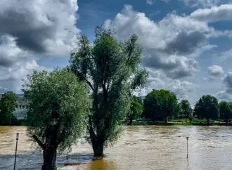 Understanding Coastal Flood Warnings: What You Need to Know