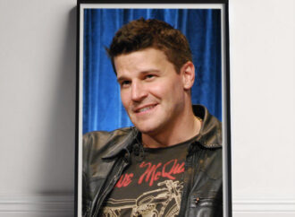 The Career of David Boreanaz: From Vampires to Crime Solving