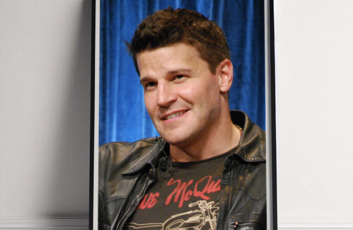 The Career of David Boreanaz: From Vampires to Crime Solving