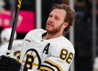 The Rise of David Pastrnak in the NHL