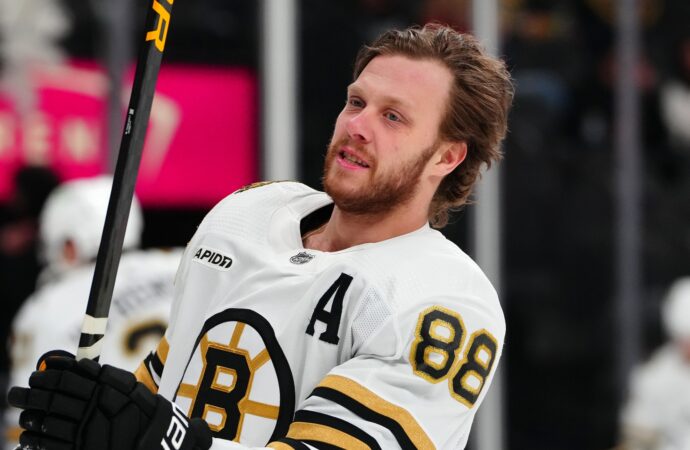 The Rise of David Pastrnak in the NHL