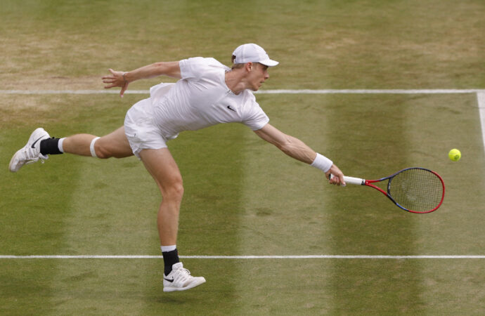 Denis Shapovalov: A Look at His Career and Recent Performance