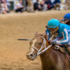 The Thrill of Upcoming Derby Events: What to Expect