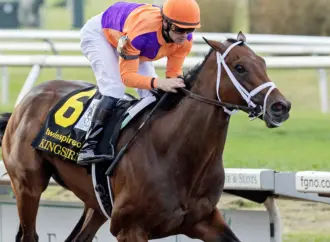 Understanding the Importance of Derby in Sports Culture
