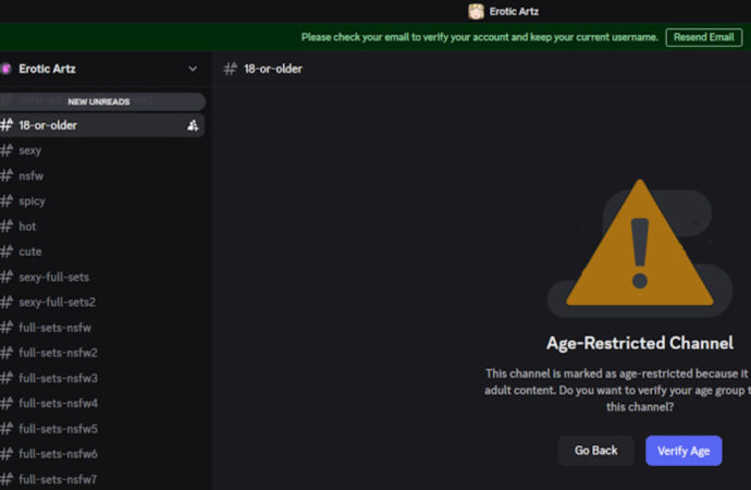 Understanding Discord Age Verification: Updates and Importance