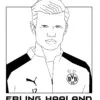 Erling Haaland: A New Era in Football
