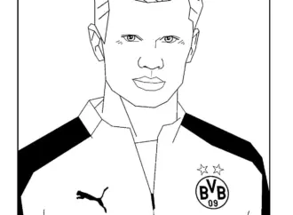 Erling Haaland: A New Era in Football