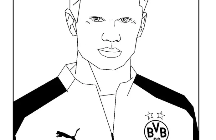 Erling Haaland: A New Era in Football