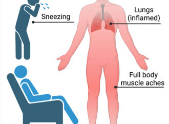 Recognizing Flu Symptoms: What You Need to Know