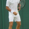 Francisco Cerundolo: The Rise of a Tennis Sensation
