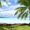 Exploring the Wonders of French Polynesia