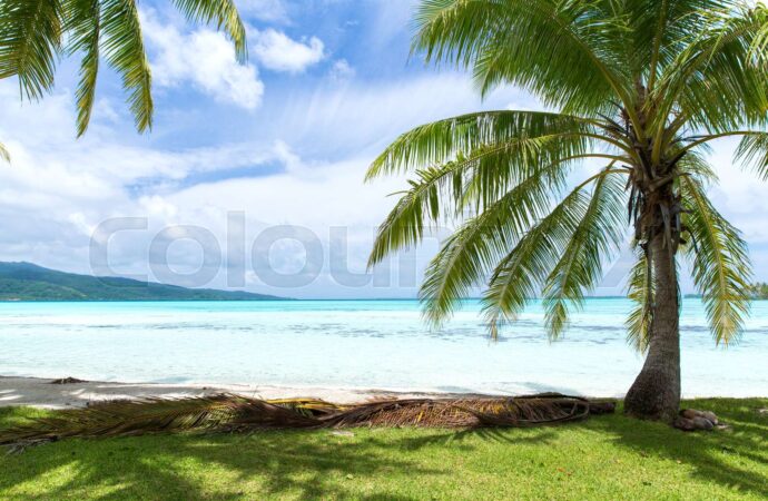 Exploring the Wonders of French Polynesia