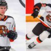 Gavin McKenna: The Emerging Talent in Sports