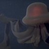 Exploring the Giant Phantom Jellyfish: A Deep-Sea Wonder