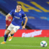 Viktor Gyokeres: A Rising Star in the Football World