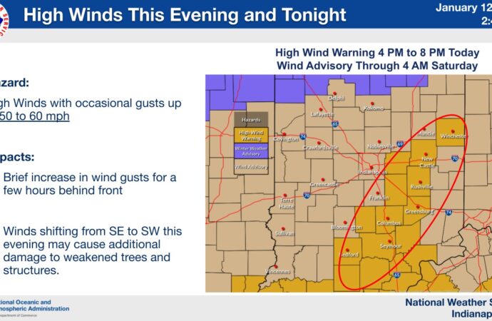 Understanding High Wind Warnings: Safety Tips and Updates