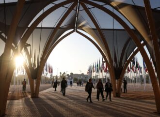 Understanding the Role and Impact of the IMF