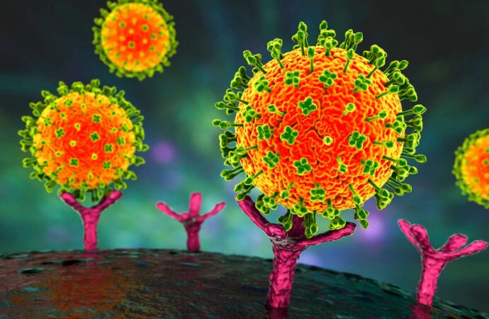 The Nipah Virus Outbreak in India: Current Challenge and Response