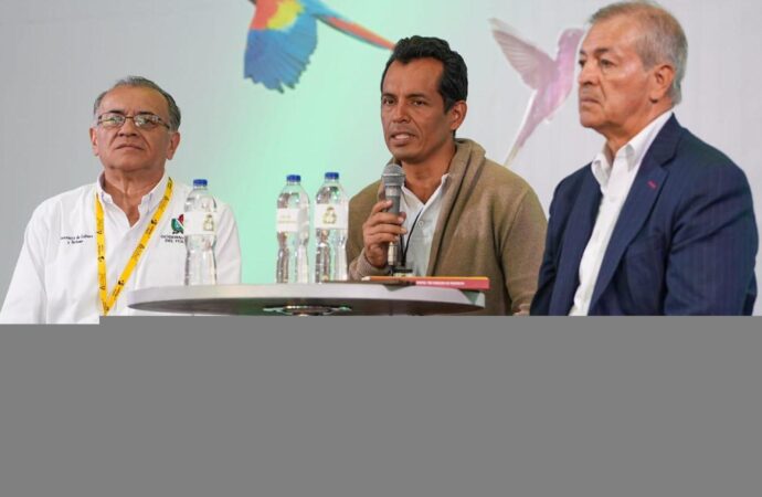 Insights on the Internacional de Bogotá vs Tolima Match