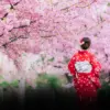Experience the Magic of the Japanese Cherry Blossom Festival