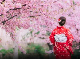 Experience the Magic of the Japanese Cherry Blossom Festival
