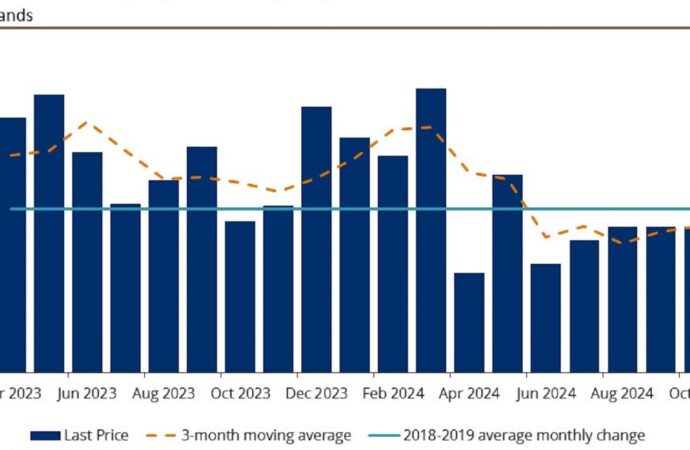 Latest Insights from the U.S. Jobs Report