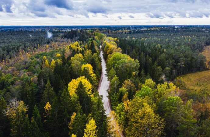 Exploring the Beauty and Culture of Latvia
