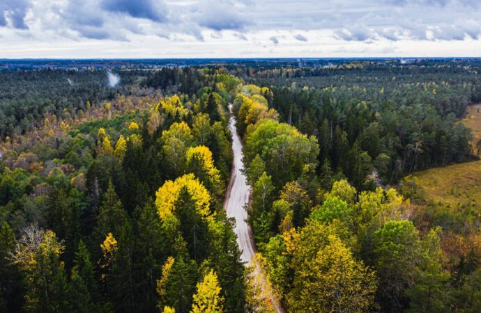 Exploring Latvia: Culture, Economy, and Current Events