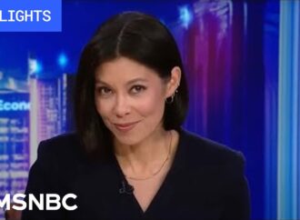 Understanding the Role and Impact of MSNBC