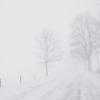 The Unlikely Snowfall in Myrtle Beach: A Winter Wonder