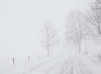 The Unlikely Snowfall in Myrtle Beach: A Winter Wonder