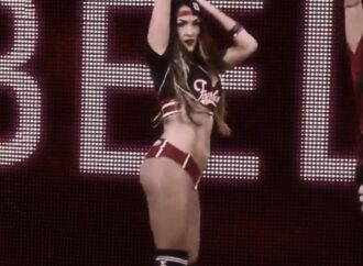 Nikki Bella: From WWE Superstar to Business Entrepreneur
