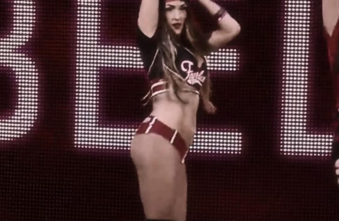Nikki Bella: From WWE Superstar to Business Entrepreneur