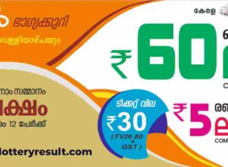 Understanding the Growth of Online Lottery Services