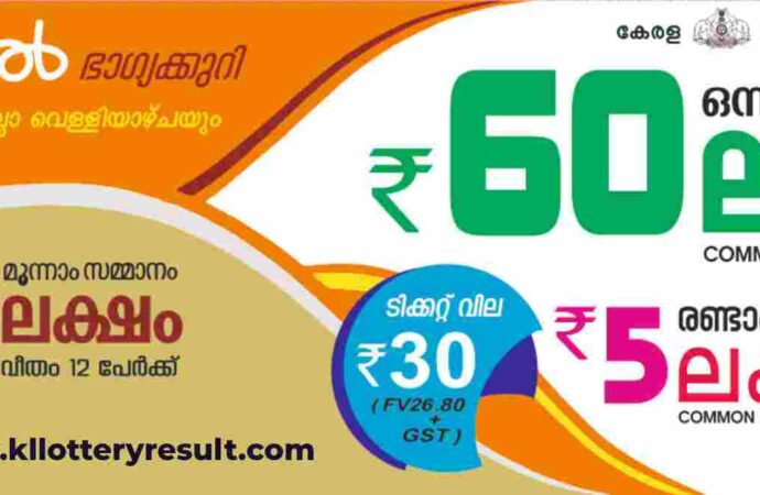 Understanding the Growth of Online Lottery Services