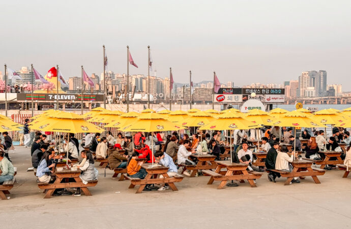 Understanding the Importance of Passports in Global Travel