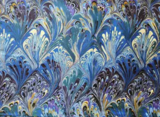 The Significance and Conservation of Peacocks