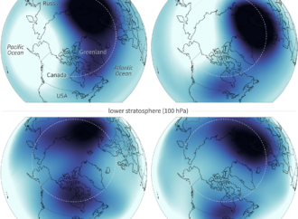 Understanding the Polar Vortex Split Forecast